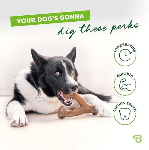 Benebone Wishbone Dog Chew Toy Large | Bacon Flavor for Aggressive Chewers