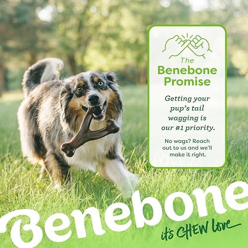 Benebone Wishbone Dog Chew Toy Large | Bacon Flavor for Aggressive Chewers